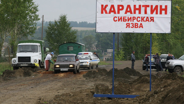 В РФ вспышка сибирской язвы - девять человек госпитализированы, из них пятеро детей