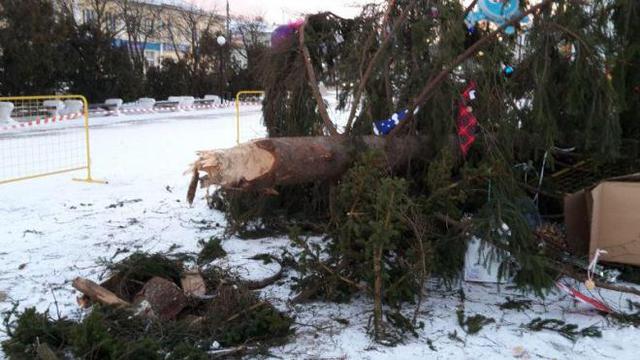 Среди бела дня на людной площади Переяслав-Хмельницкого упала главная елка