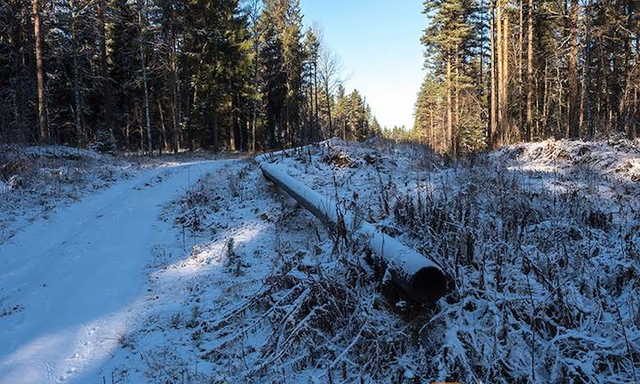 «Газпром» вложил 1,7 млрд рублей в несуществующий газопровод млрд. руб