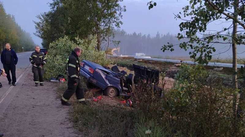 В Ленобласти водитель ВАЗа погиб, улетев в кювет, пассажиры пострадали