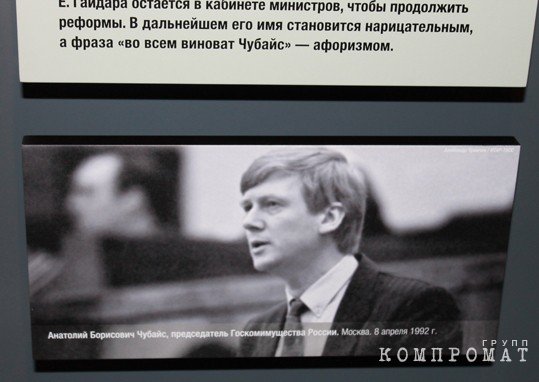 "У нас очень много денег", или Как Роснано оставило государству "дырку от бублика" ekieriqzdidexvls